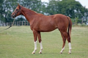 060D090812DALMORE