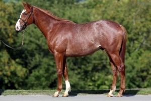 Lot 144 Fiorentino 976210814WESTERBERG