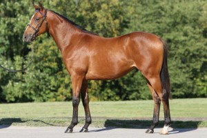 Lot 273 Damon Gibs 979210814WESTERBERG