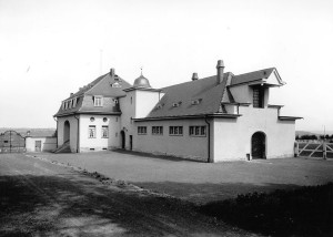 Gestuet_Reitpferdestall